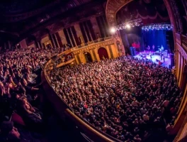 Michigan Panthers Ditching Detroit: The Real Reason They're Leaving and What It Means for the City