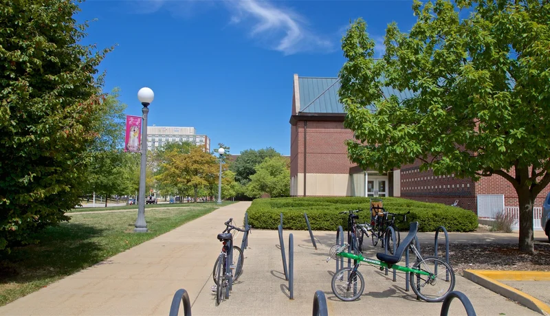 An Analyst's Guide to Champaign, Illinois: What the Data Reveals About Its Location, Commerce, and Climate