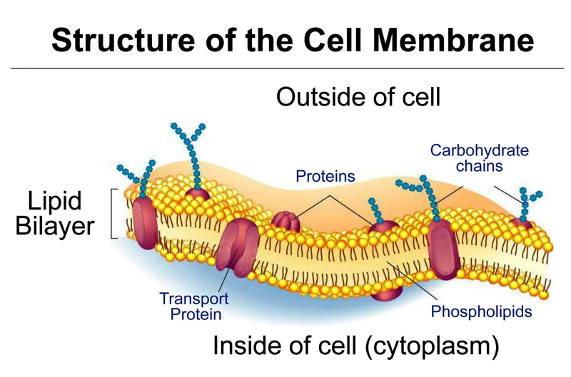 Plasma Breakthrough: What It Is & Why It's the Future of Everything